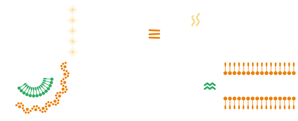 Logo_JIJ_Indoor_2026